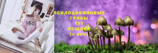 прущая мука Абдулино